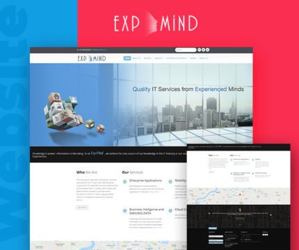 ExpMind Website Screenshot